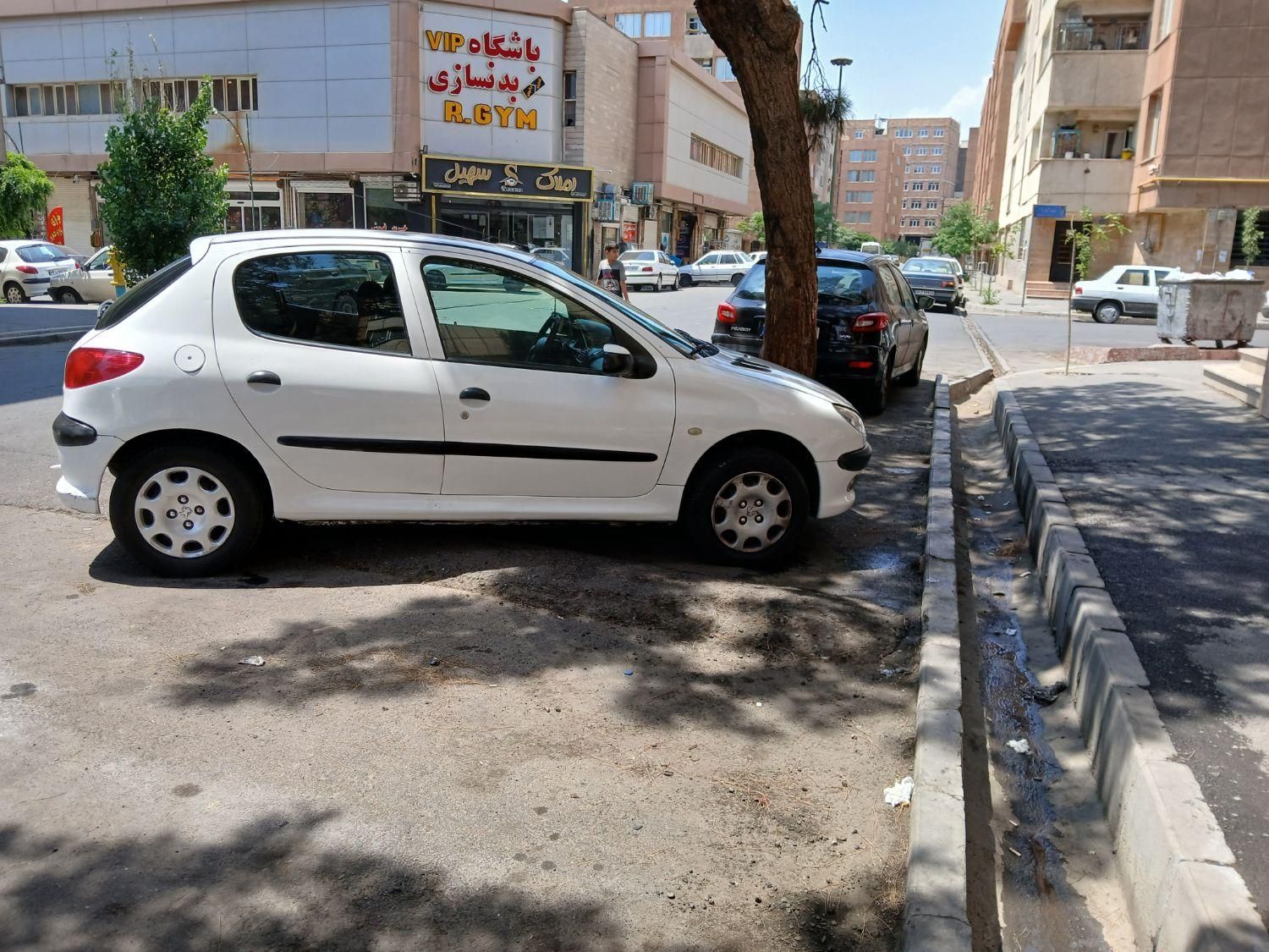 پژو 206 تیپ 2 - 1389