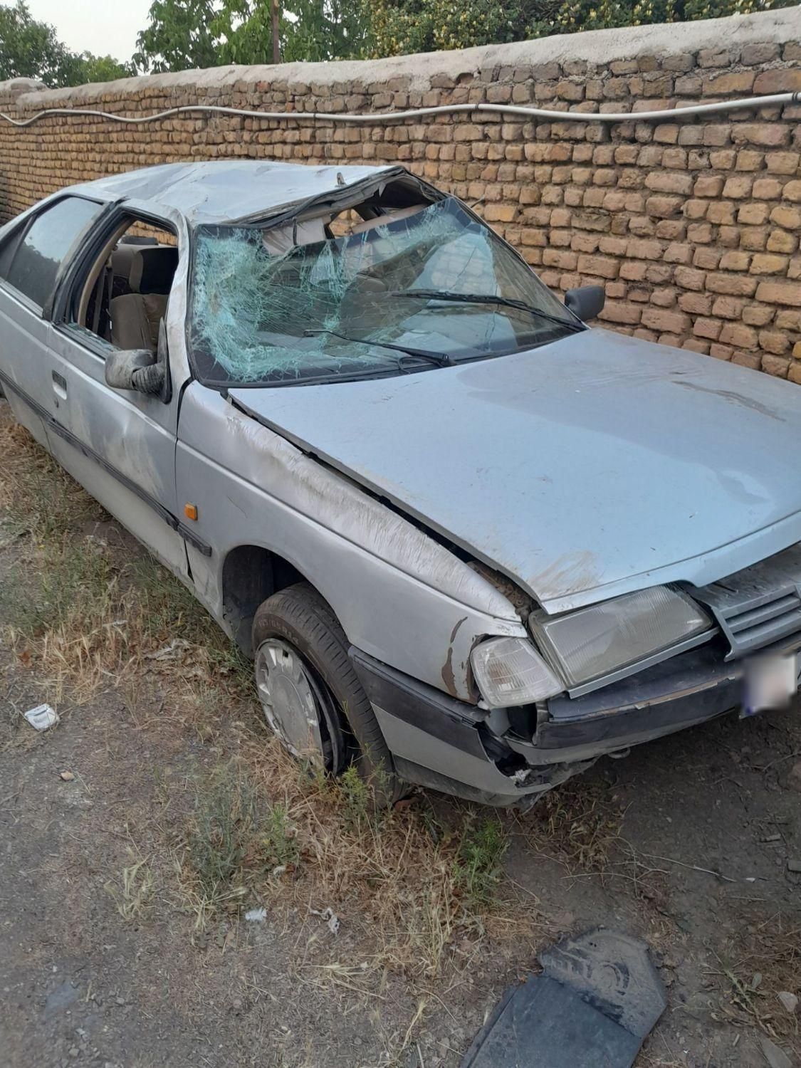 پژو 405 GLX - دوگانه سوز - 1391