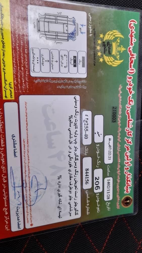 پژو 206 تیپ 2 - 1395