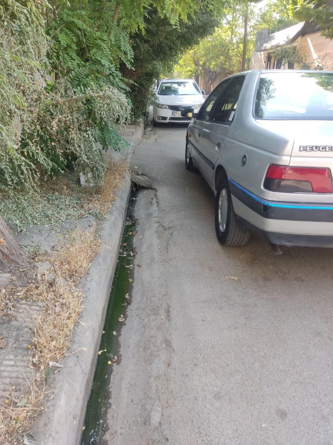 پژو 405 GLX - دوگانه سوز - 1386