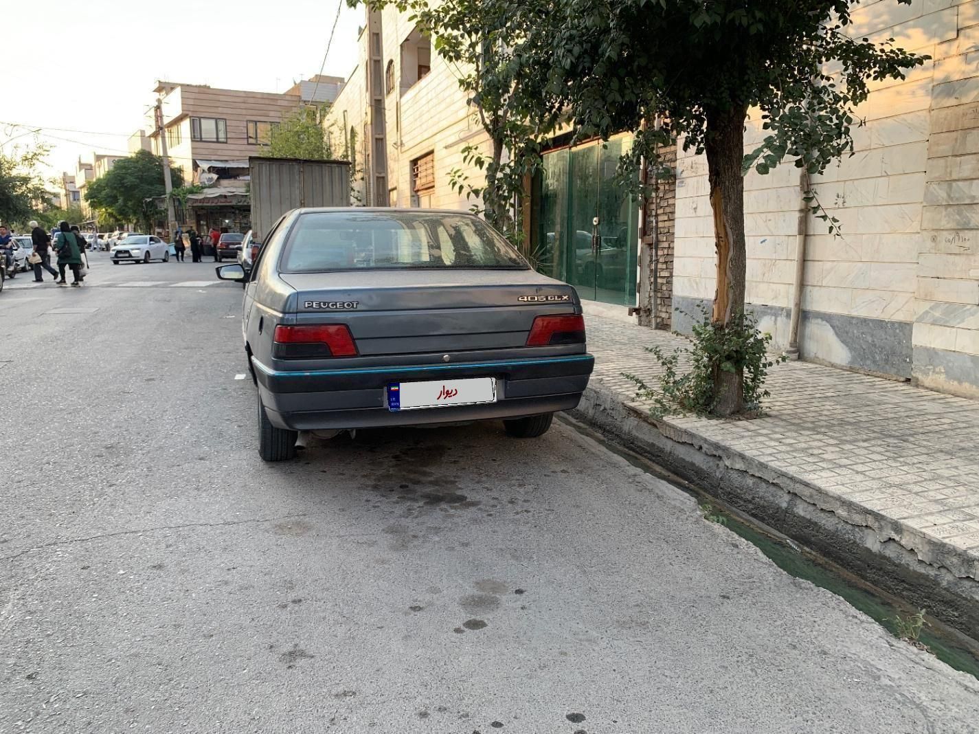 پژو 405 GLX - دوگانه سوز - 1393