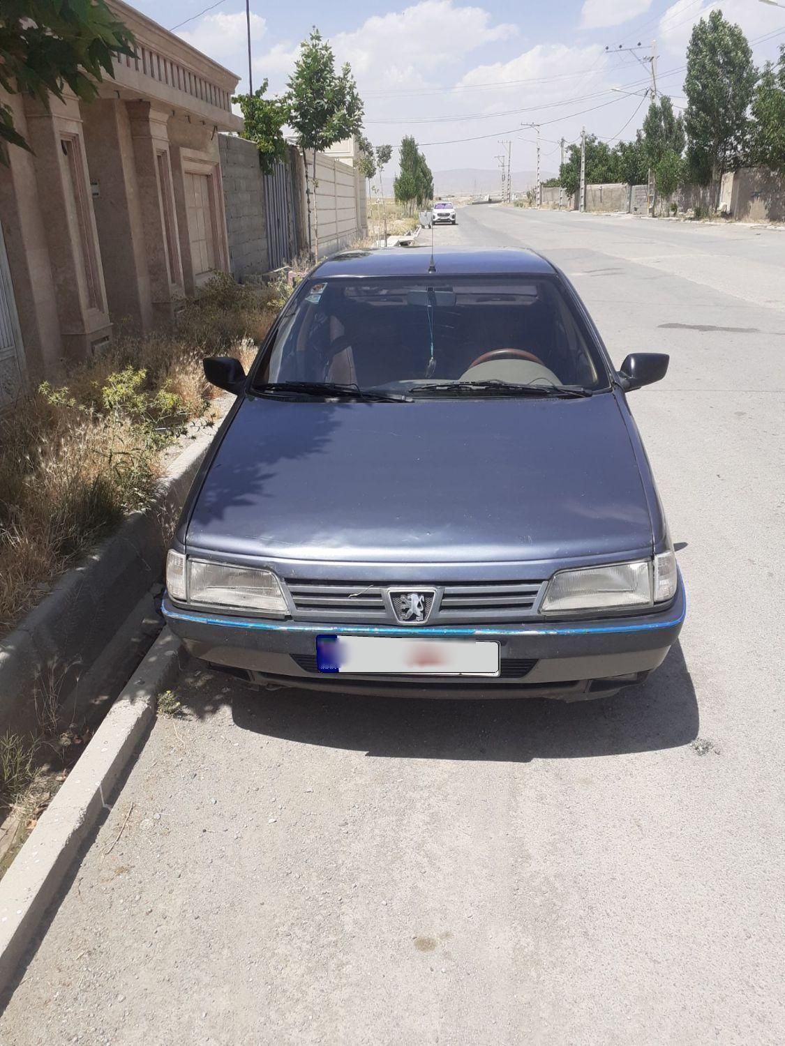 پژو 405 GLX - دوگانه سوز - 1393