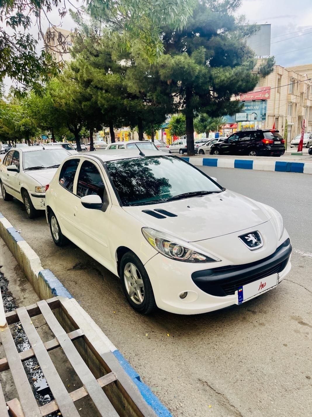 خودرو پژو، 207 آگهی ann_18691125