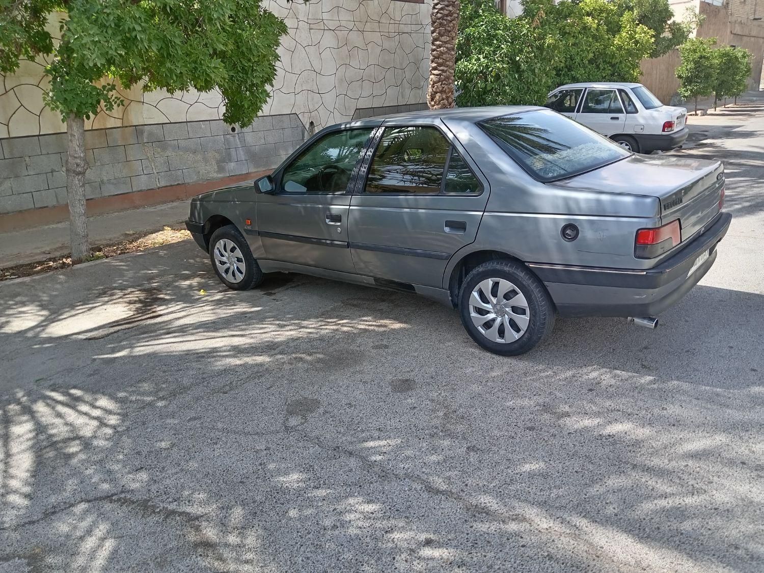 پژو 405 GLX - دوگانه سوز - 1391