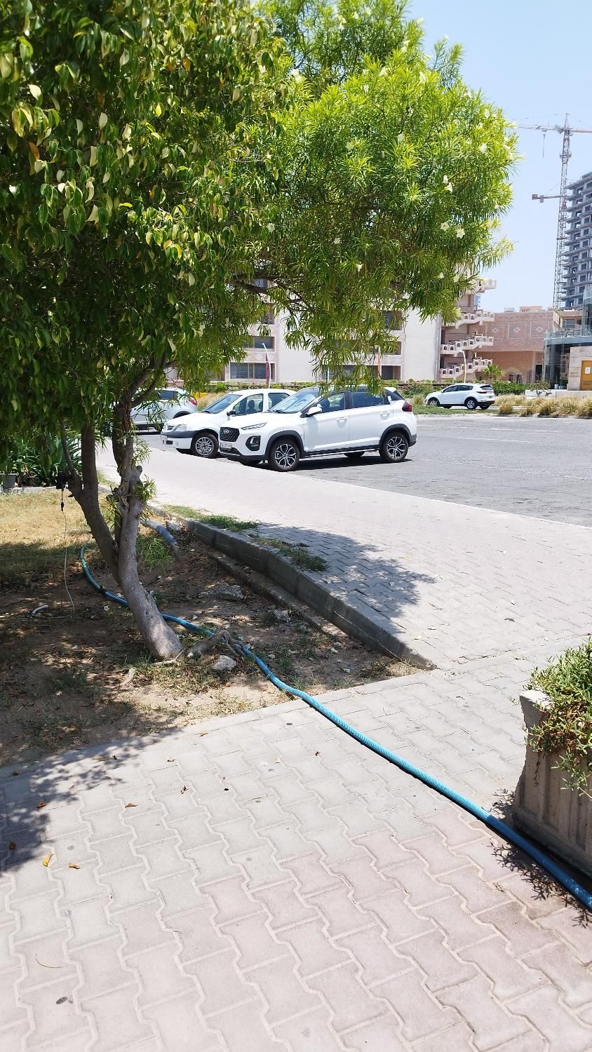 ام وی ام X22 پرو اتوماتیک IE - 1401