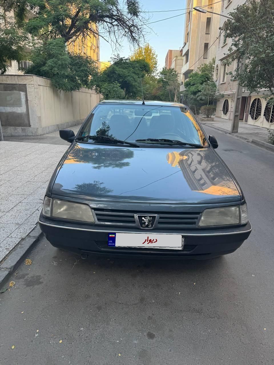 پژو 405 GLX - دوگانه سوز - 1399