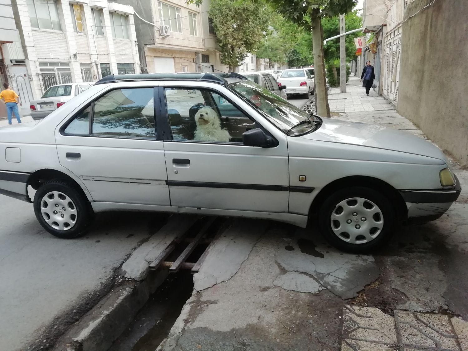 پژو 405 GL - دوگانه سوز CNG - 1373