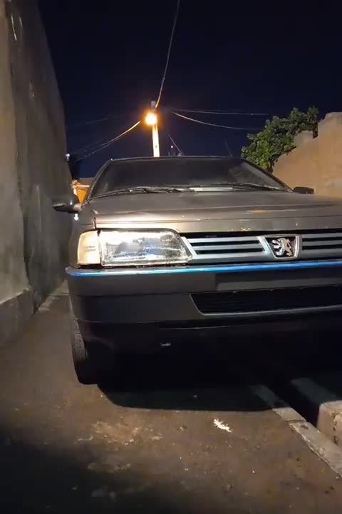 خودرو پژو، 405 آگهی ann_18702285