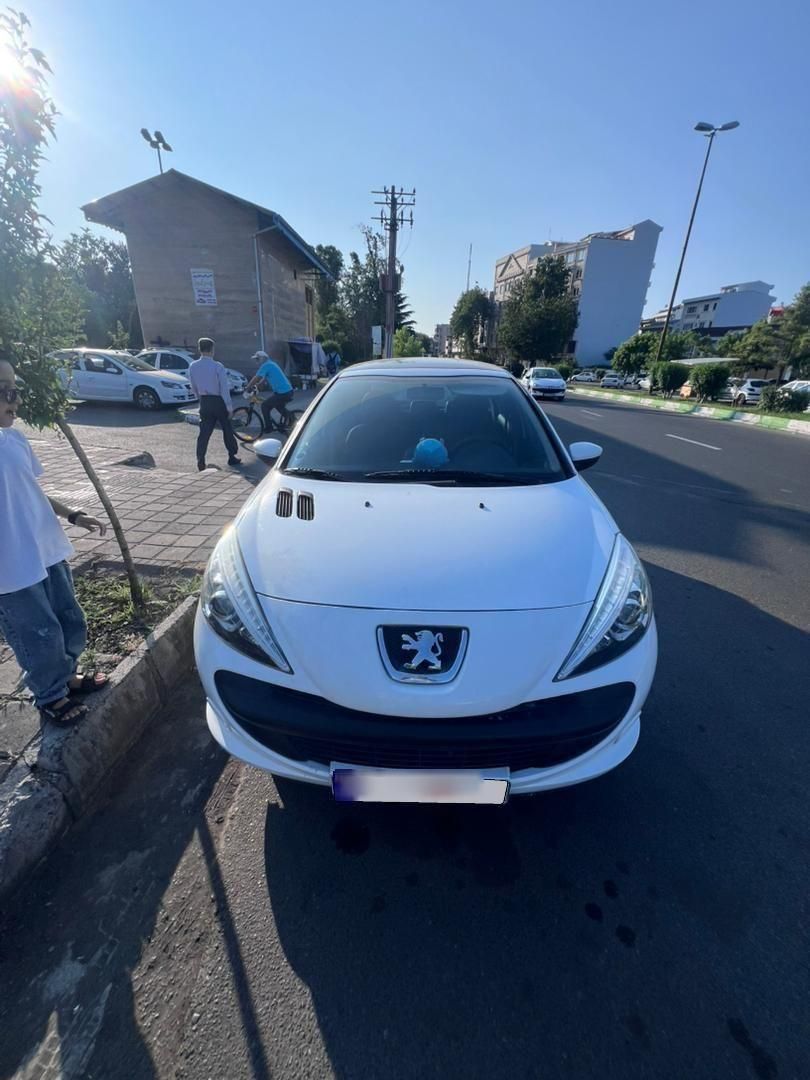 خودرو پژو، 207 آگهی ann_18707800