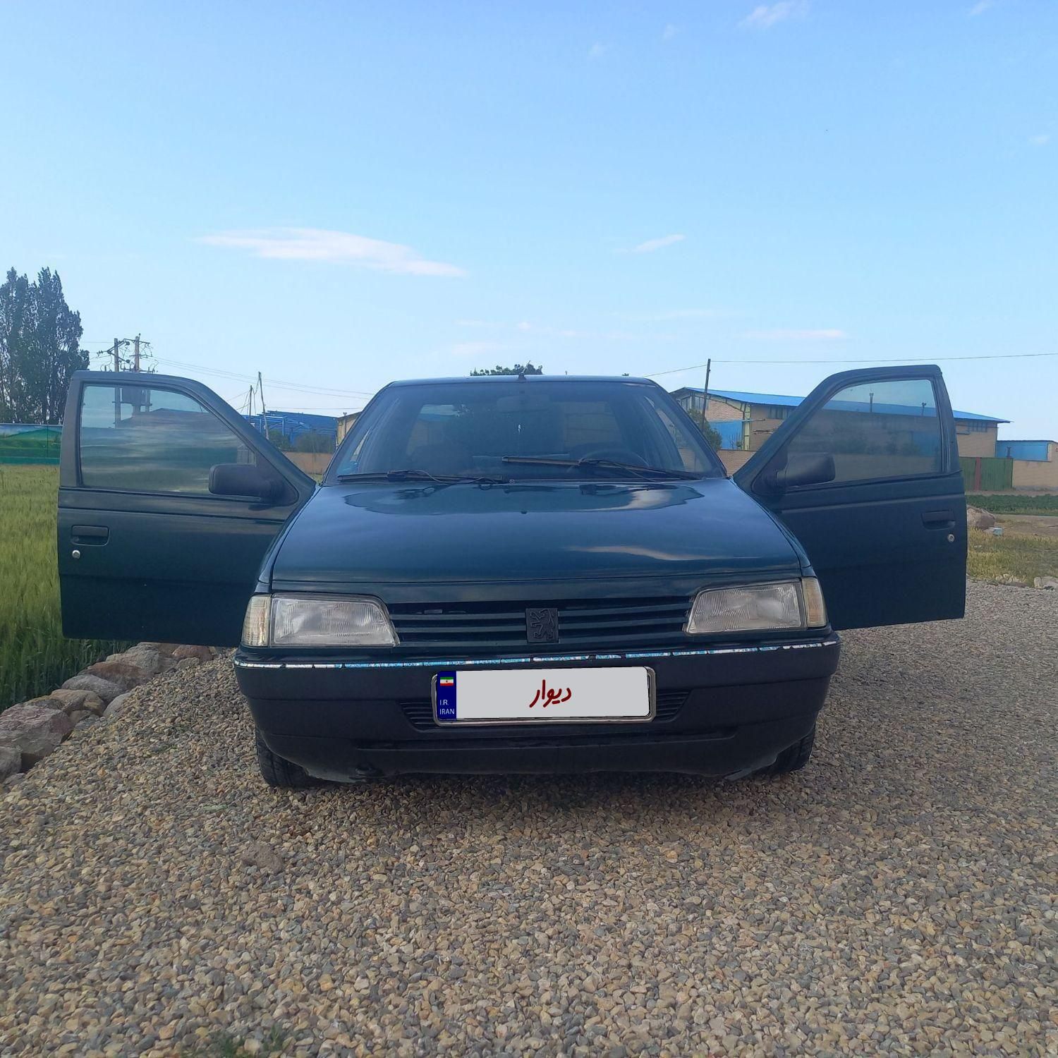 پژو آردی دوگانه سوز CNG - 1382