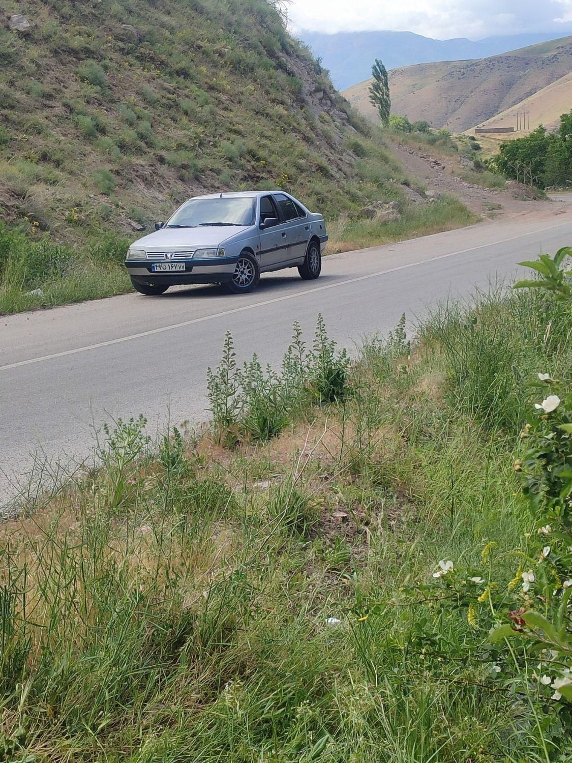 پژو 405 GLX - دوگانه سوز - 1386