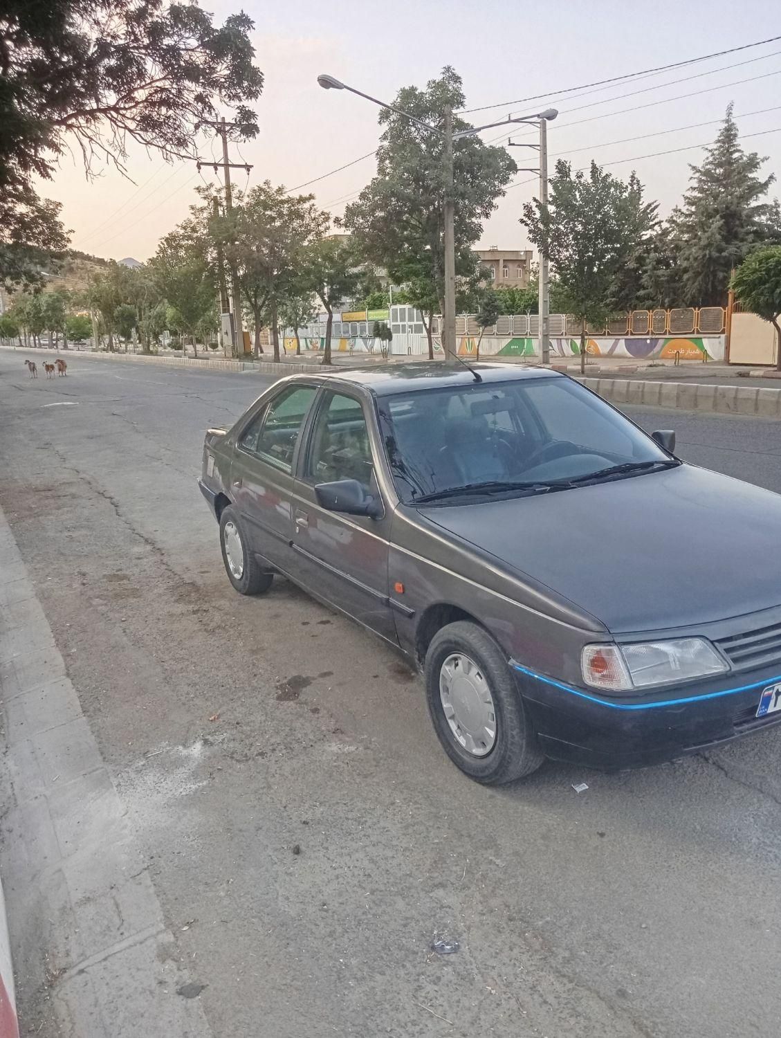 پژو روآ دوگانه سوز - 1386