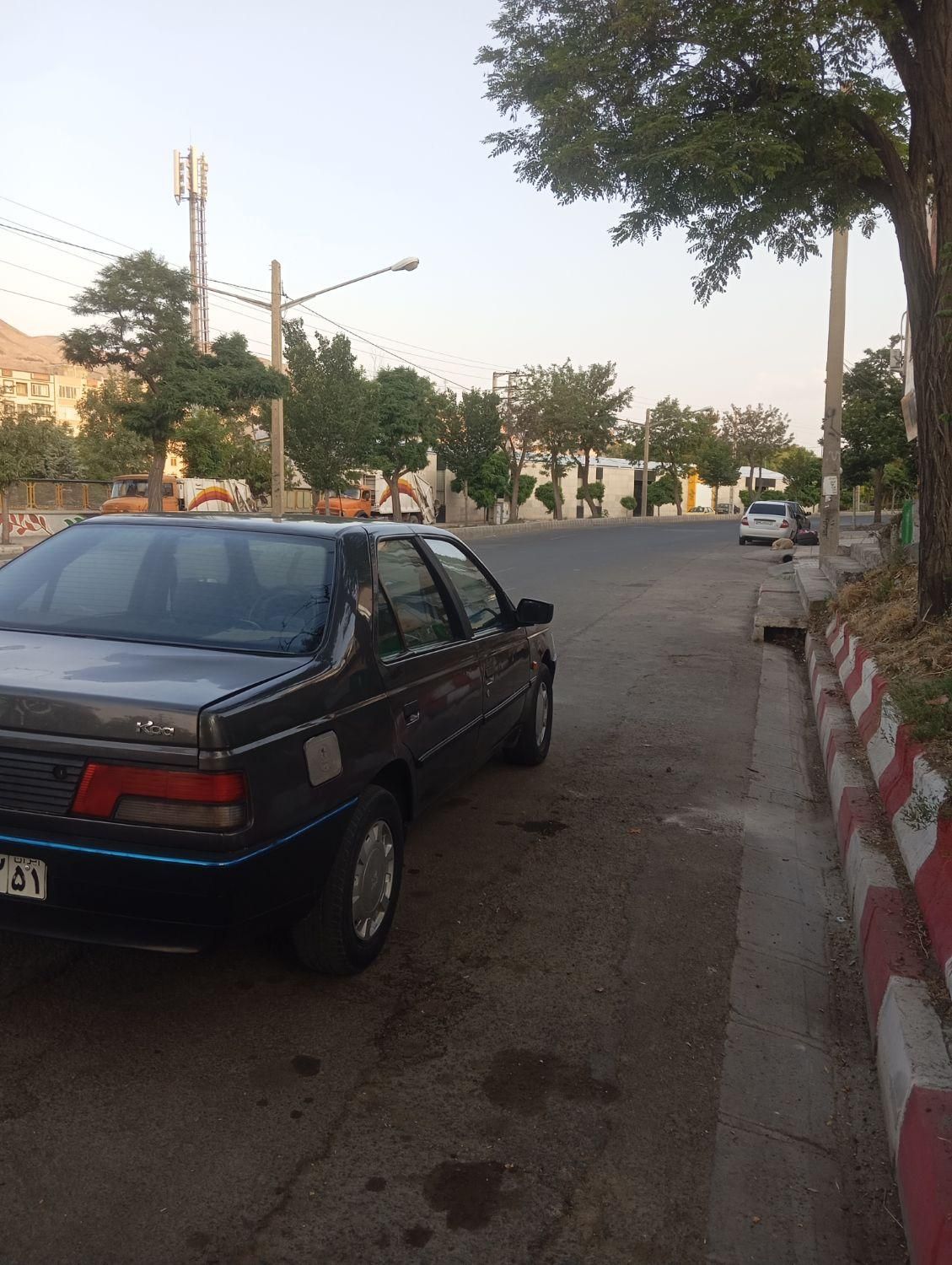پژو روآ دوگانه سوز - 1386