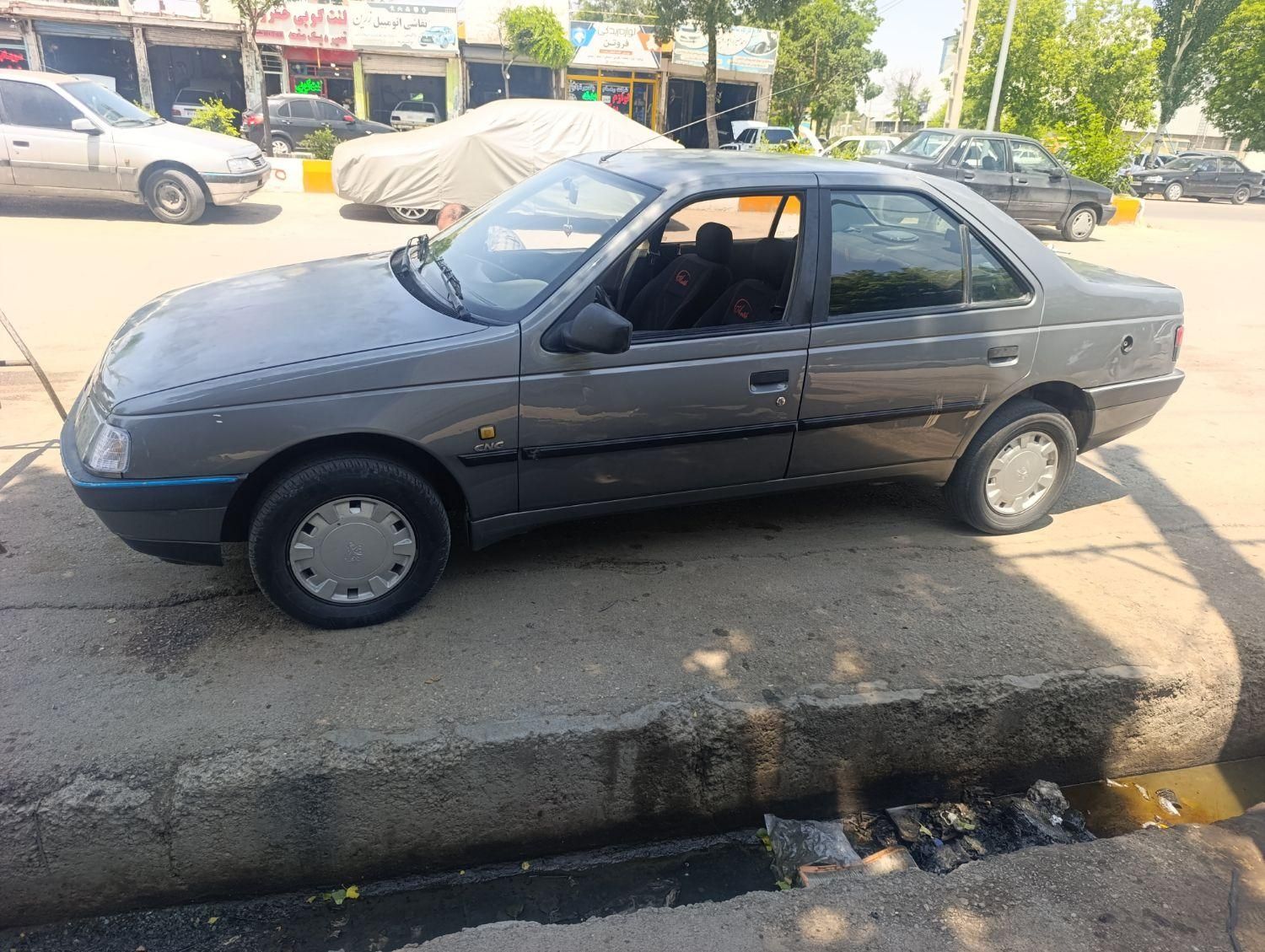 پژو 405 GLX - دوگانه سوز - 1389