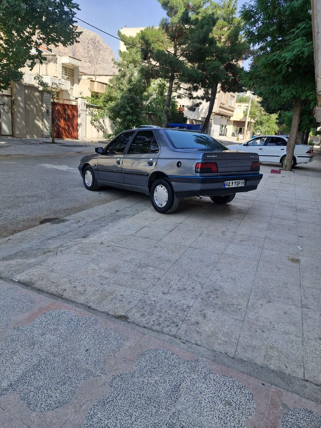 پژو 405 GLX - دوگانه سوز - 1395