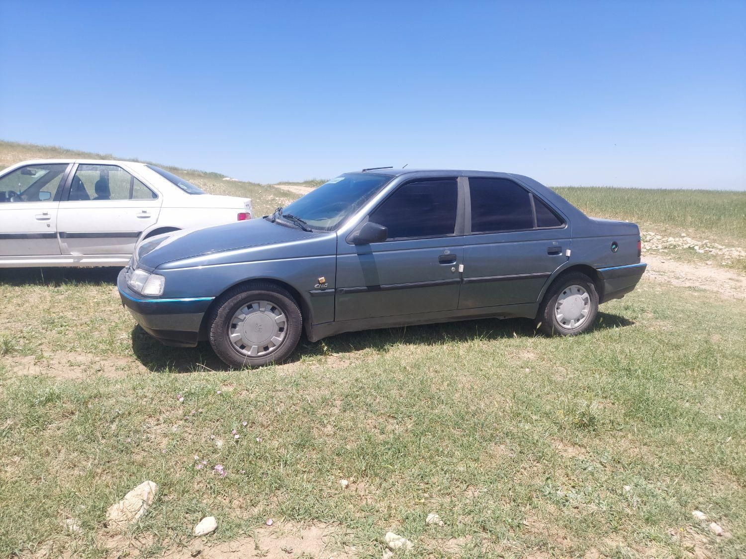 پژو 405 GLX - دوگانه سوز - 1396