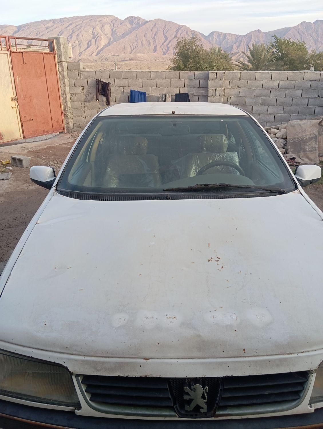 پژو 405 دوگانه سوز GLX - TU5 - 1389
