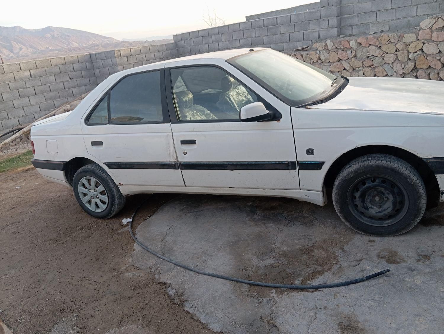 پژو 405 دوگانه سوز GLX - TU5 - 1389