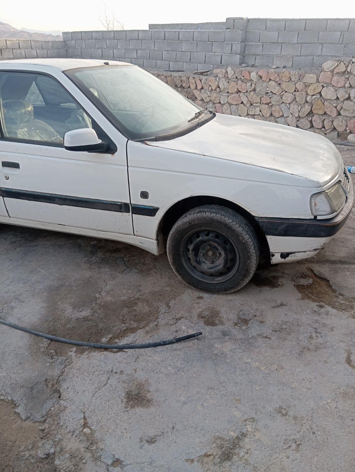 پژو 405 دوگانه سوز GLX - TU5 - 1389