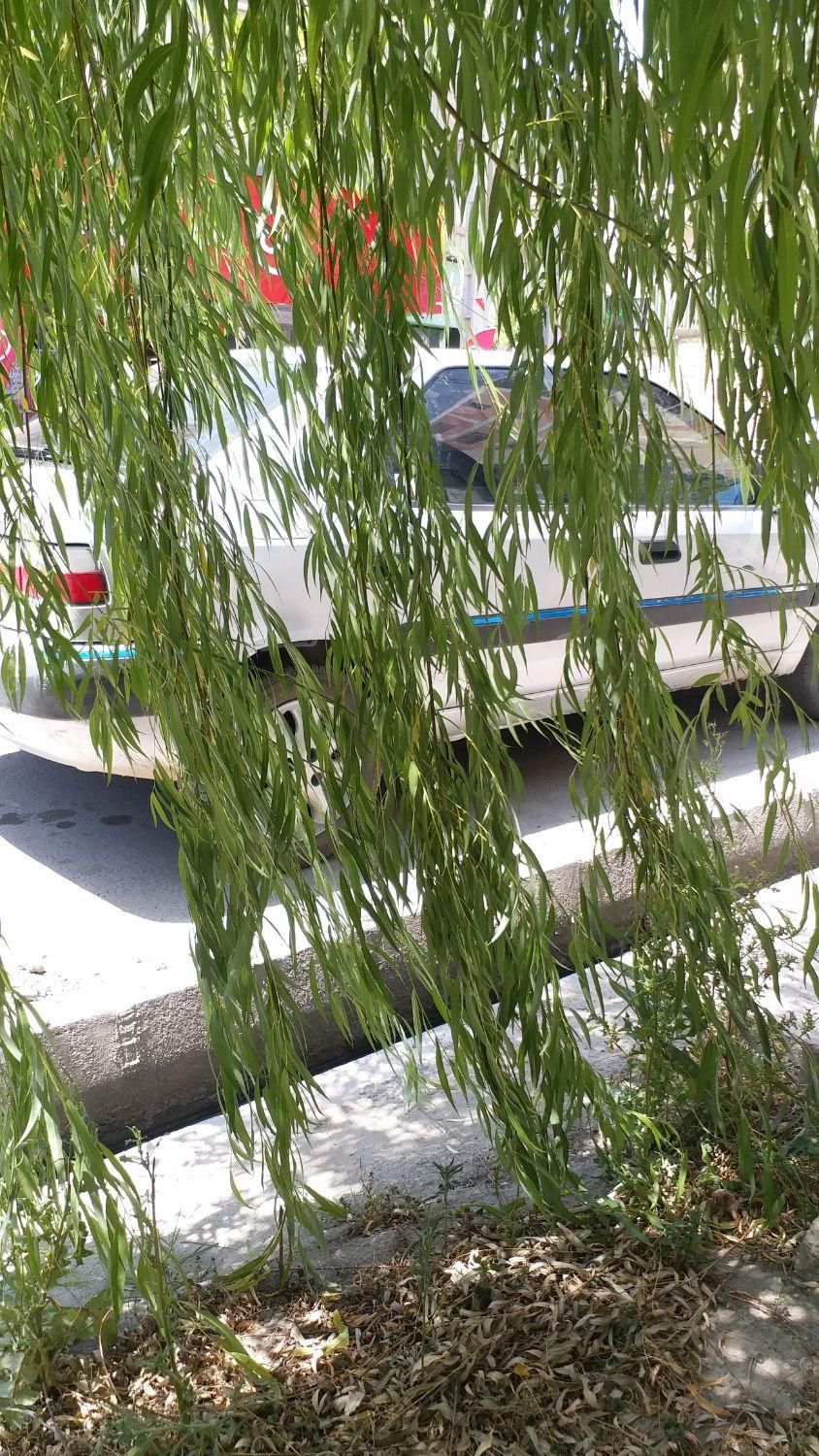 سیتروئن زانتیا X - 1384