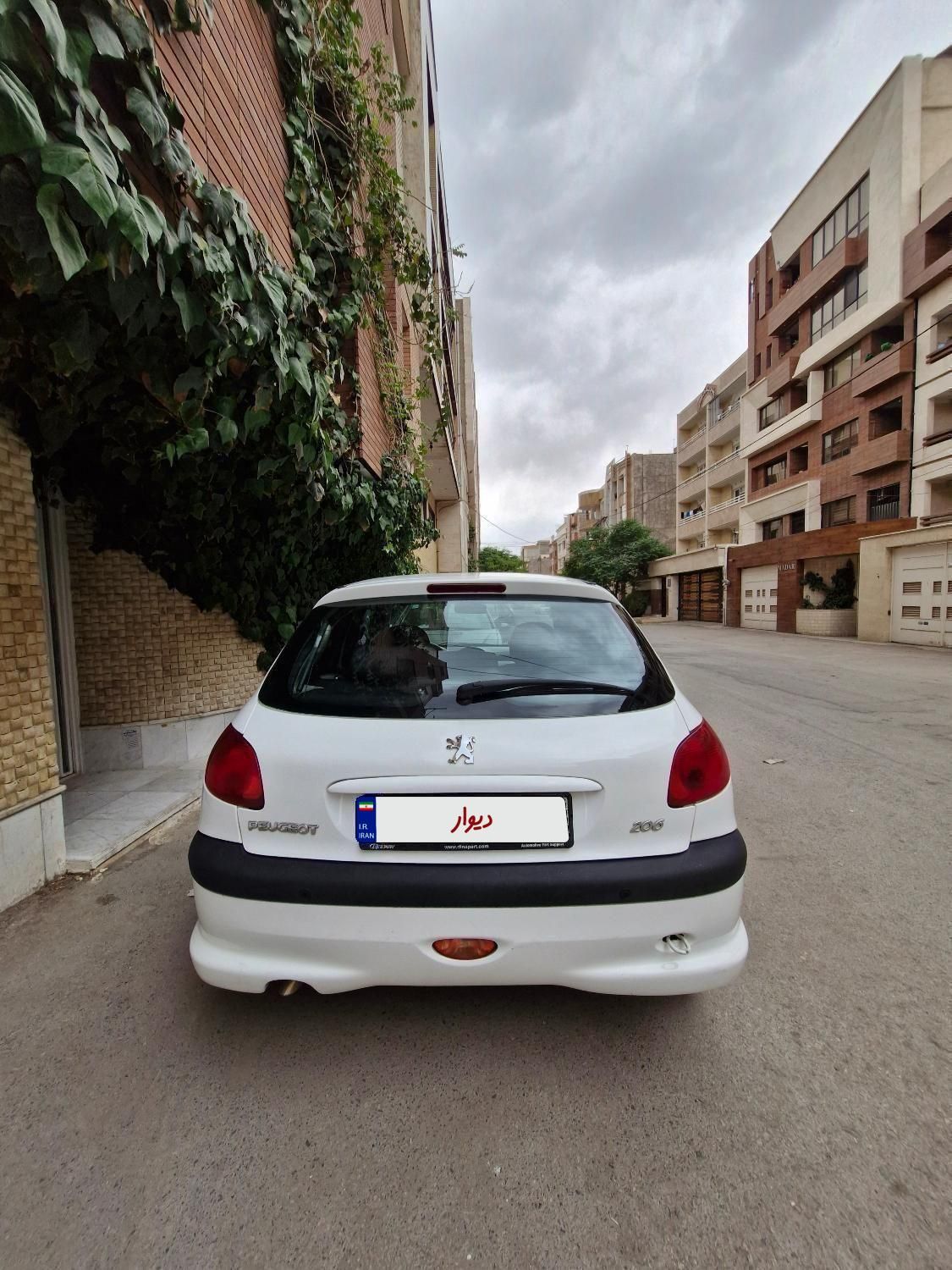 پژو 206 تیپ 5 - 1393