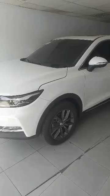 خودرو دیگنیتی، پرایم آگهی ann_18725502