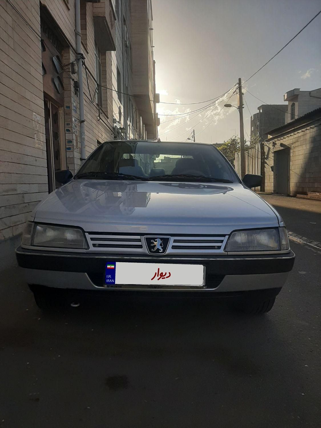 پژو 405 GLX - دوگانه سوز - 1395