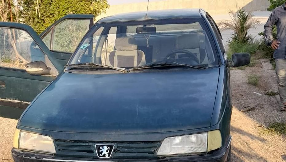 پژو آردی دوگانه سوز CNG - 1382