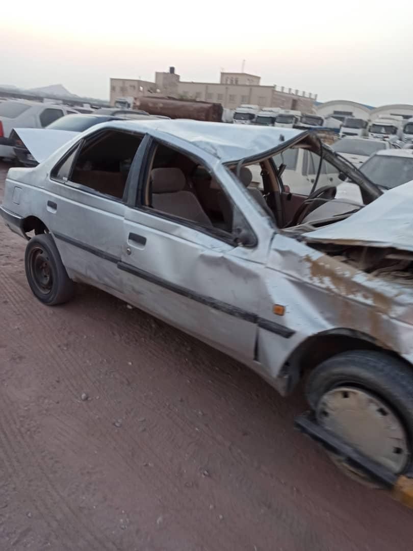 پژو 405 GL - دوگانه سوز CNG - 1370