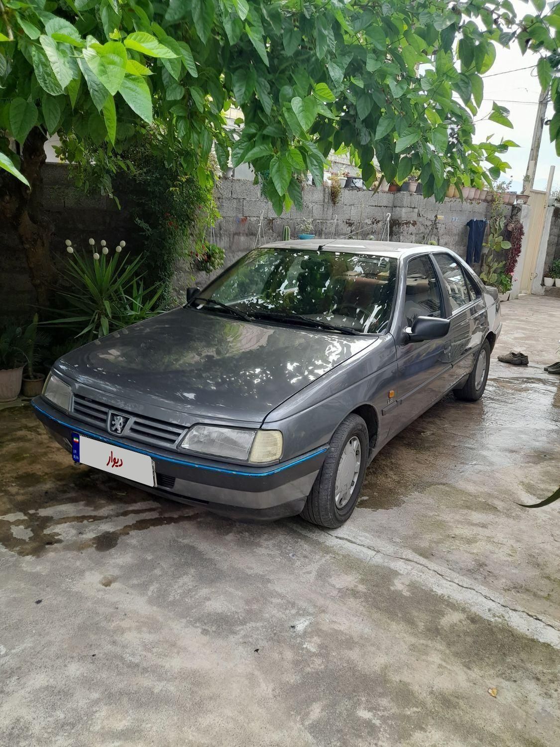 پژو 405 GLX - دوگانه سوز - 1392