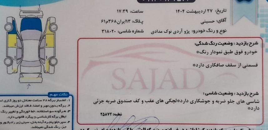 پژو روآ دوگانه سوز - 1386