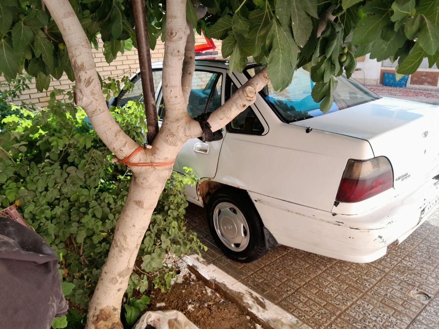 دوو سیلو سدان - 1381