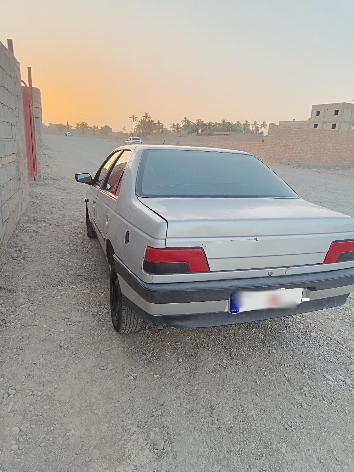 پژو 405 GL - دوگانه سوز CNG - 1369