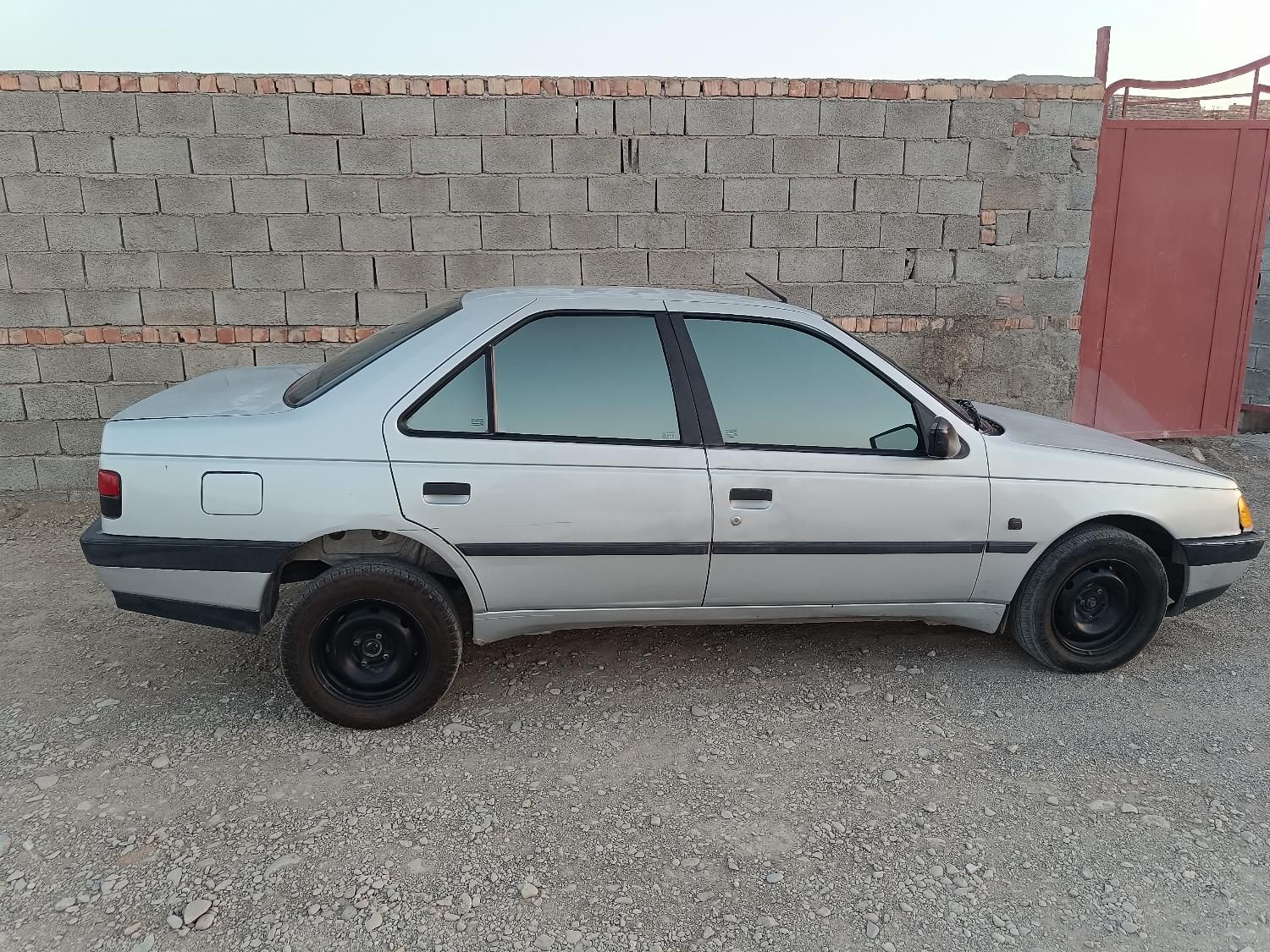 پژو 405 GL - دوگانه سوز CNG - 1369