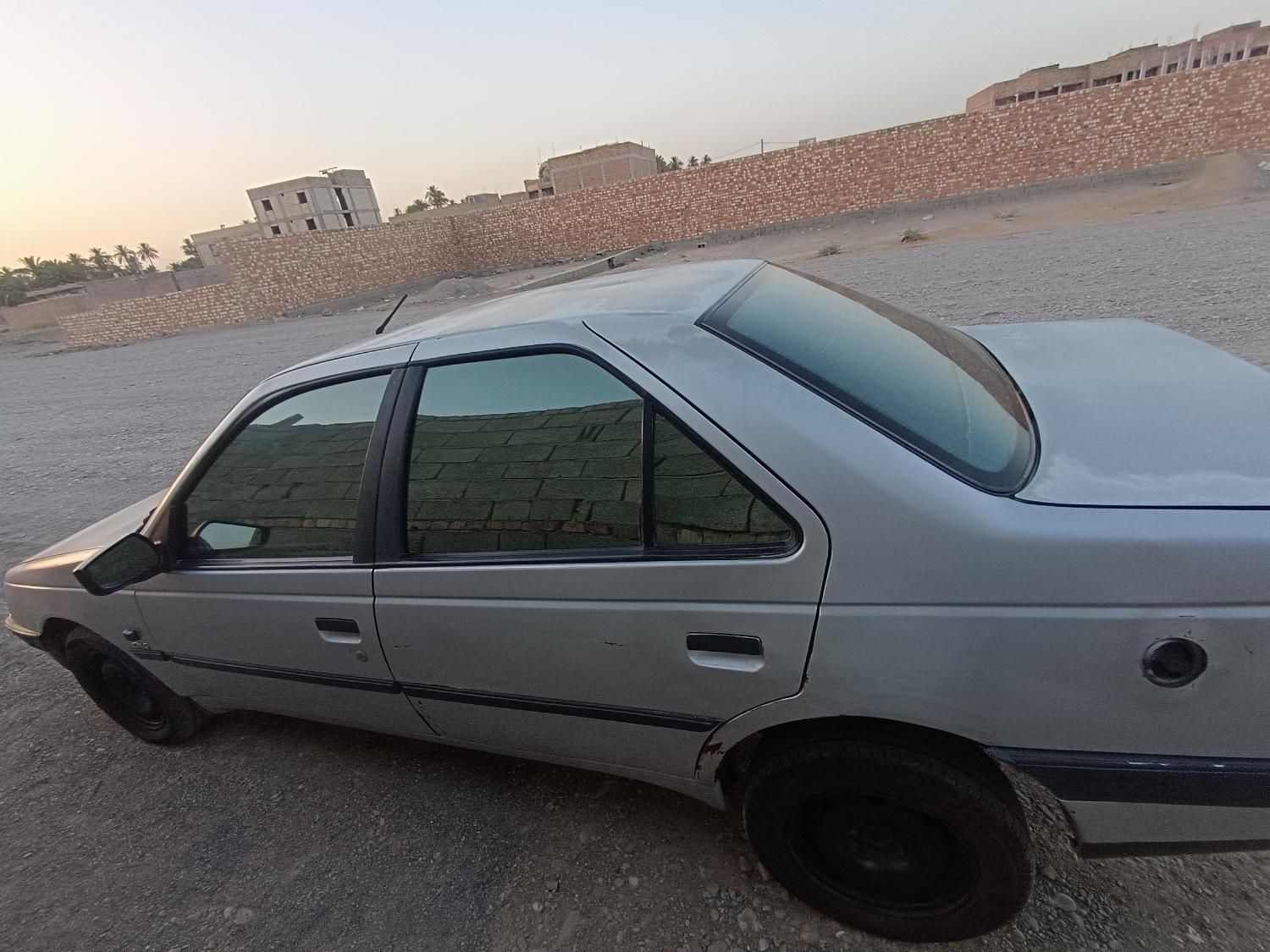 پژو 405 GL - دوگانه سوز CNG - 1369