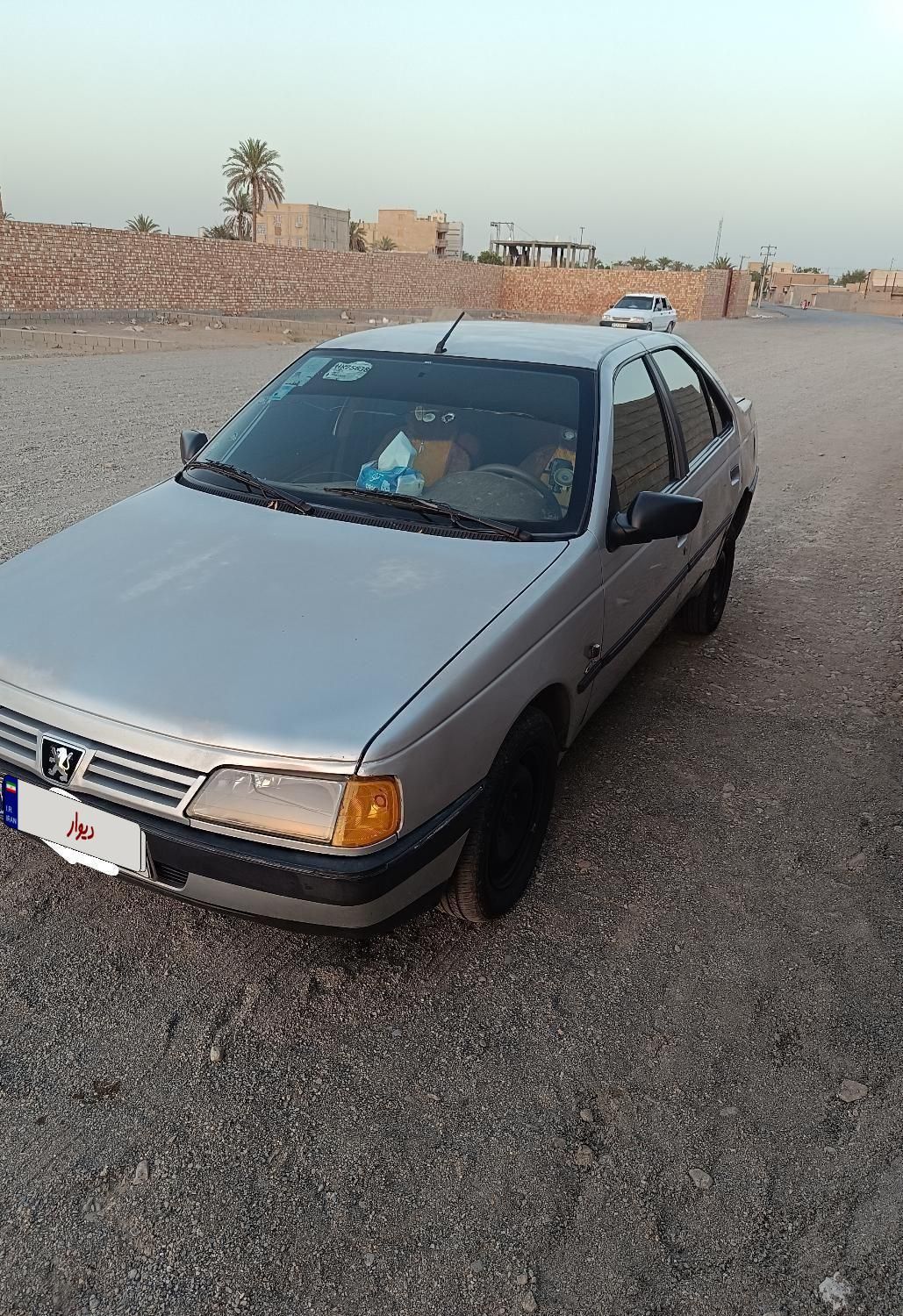 پژو 405 GL - دوگانه سوز CNG - 1369
