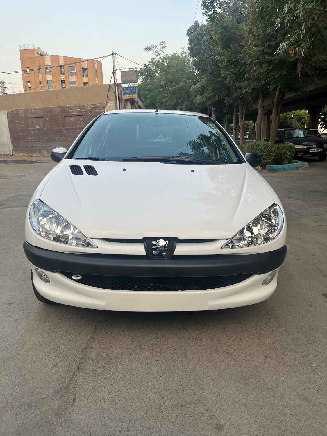 پژو ۲۰۶ صندوق دار v20 - 1390