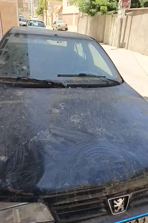 پژو آردی دوگانه سوز CNG - 1382