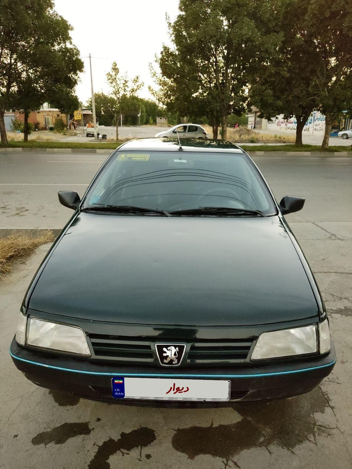 پژو آردی دوگانه سوز CNG - 1382