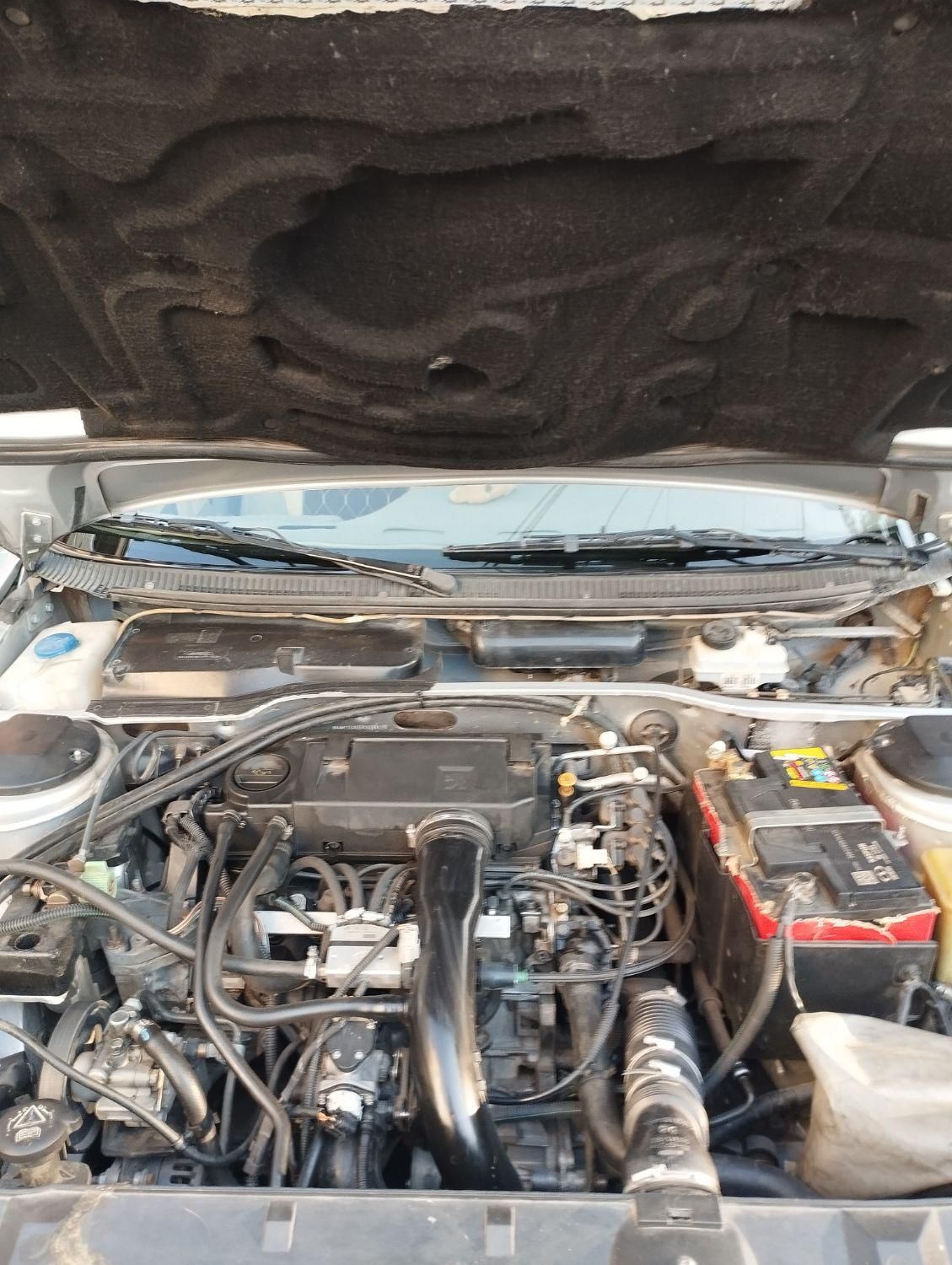 پژو 405 GLX - دوگانه سوز - 1393