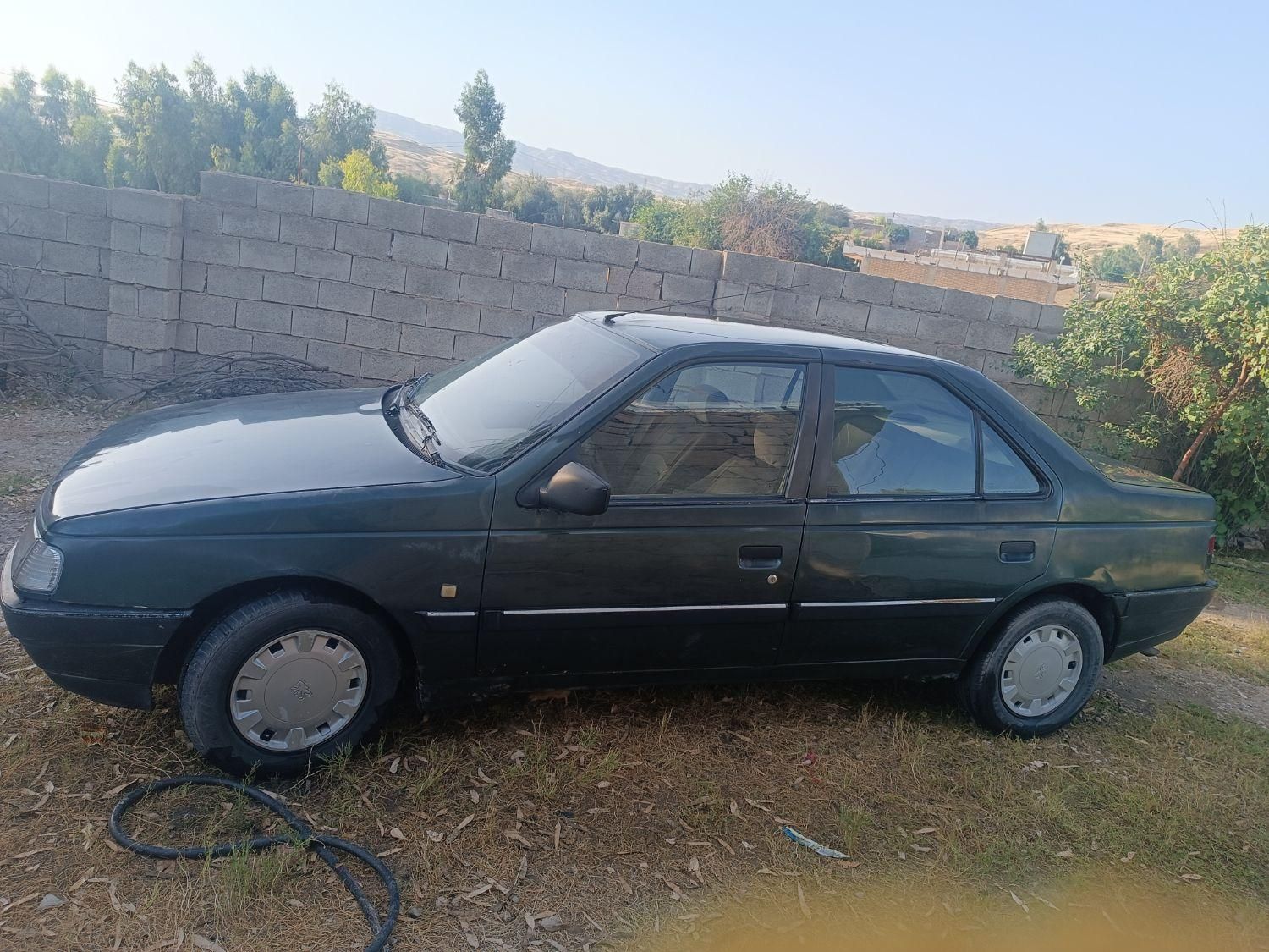 پژو 405 GLX - 1382