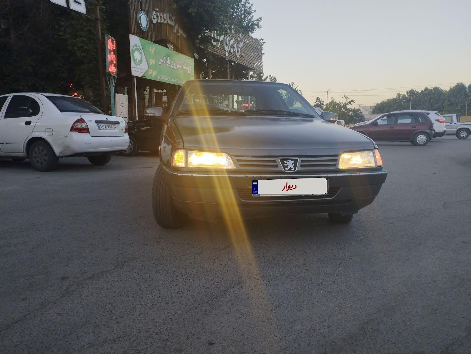 پژو 405 GLX - دوگانه سوز - 1391