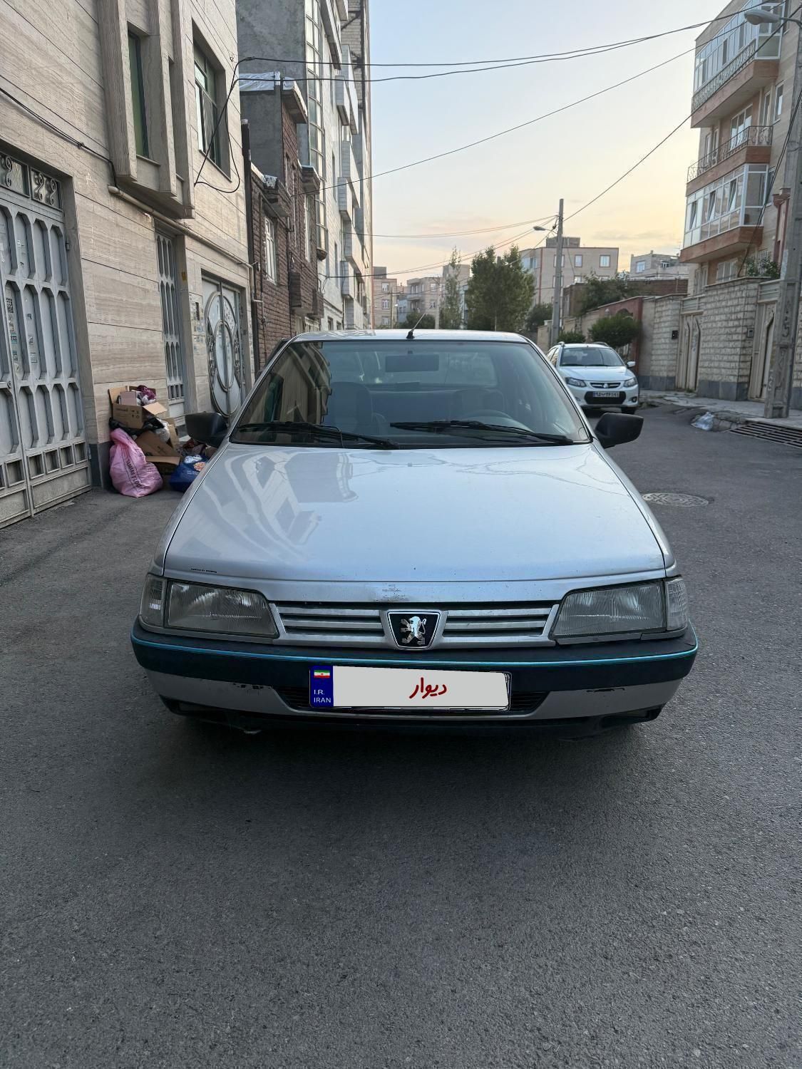 پژو 405 GLX - دوگانه سوز - 1394