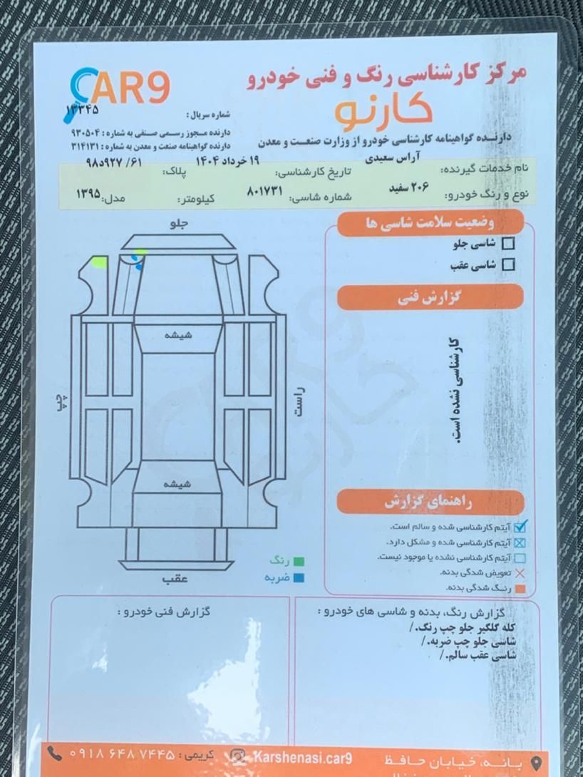 پژو 206 تیپ 2 - 1395