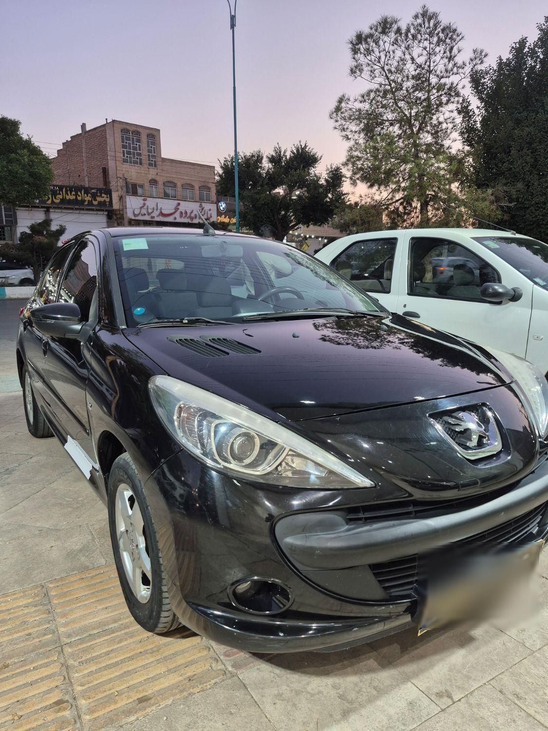 خودرو پژو، 207 آگهی ann_18758821