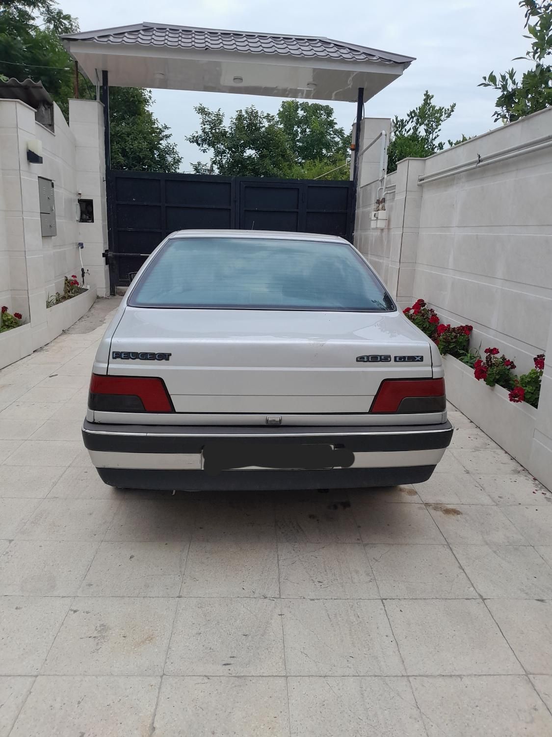 پژو 405 GLX - دوگانه سوز - 1390