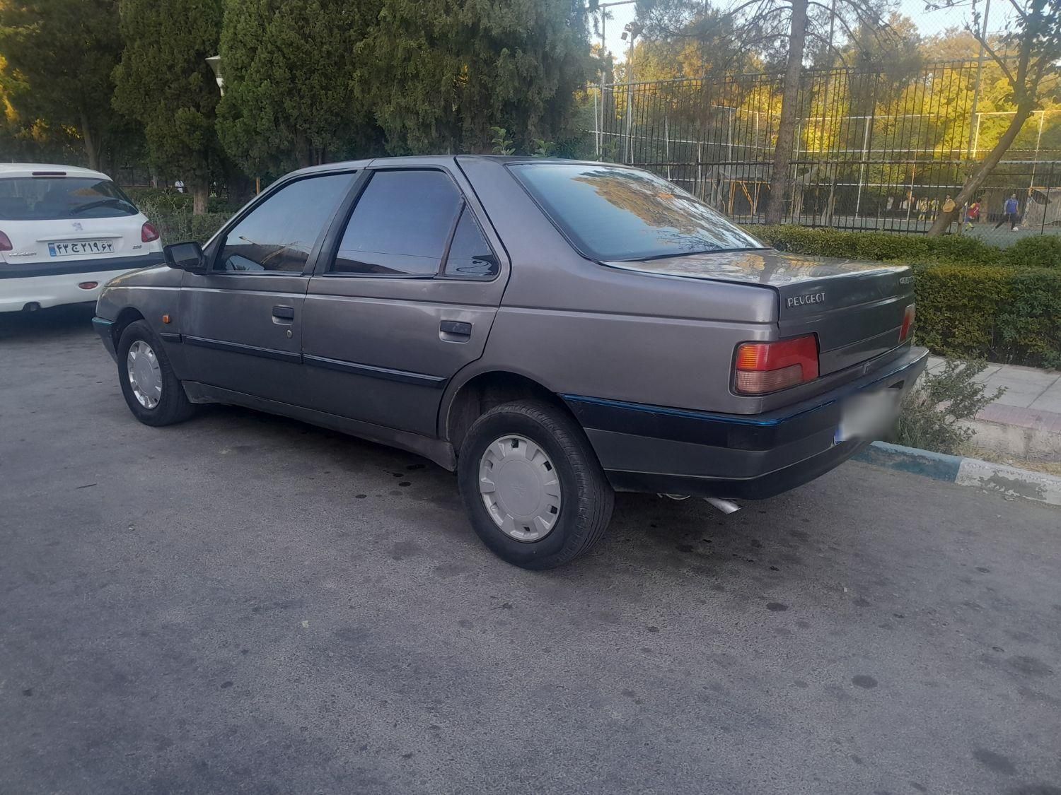 پژو 405 GLX - 1391