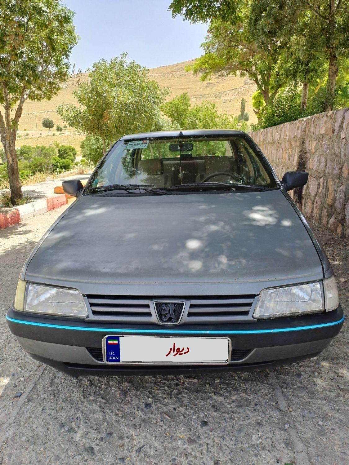 پژو 405 GLX - دوگانه سوز - 1390