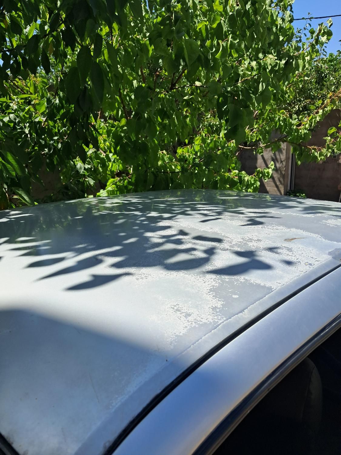 پژو 405 GLX - دوگانه سوز - 1393