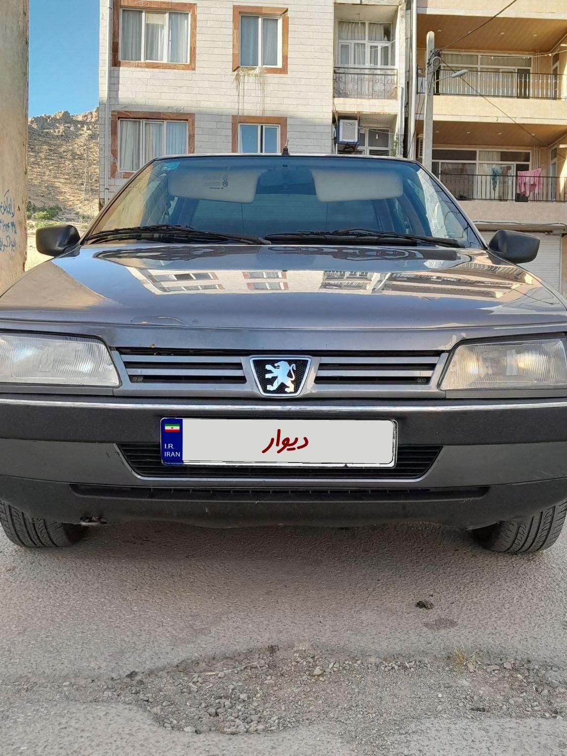 پژو 405 GLX - دوگانه سوز - 1393